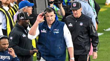 brisante fotos zeigen nfl-coach mike vrabel mit reporterin dianna russini im pool