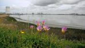 belgien: schiffsverkehr im hafen von antwerpen nach Öl-unfall unterbrochen