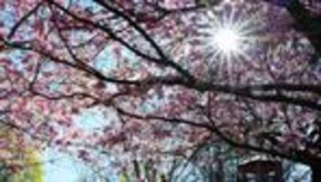 Klimawandel: Zweitwärmster März in Europa seit Beginn der Messungen