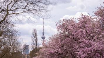 Wechselhaftes Aprilwetter in Berlin – doch der Samstag macht Hoffnung