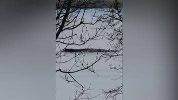 „Wal-Flüsterer“ oder „Selbstdarsteller“? Das ist Robert Marc Lehmann