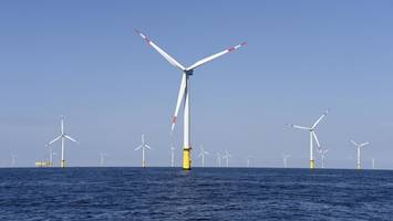 trump gibt geld aus: usa zahlen fast eine milliarde – um windräder zu verhindern