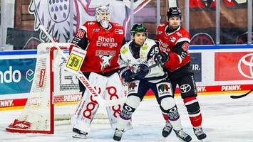 Eisbären müssen eine starke Kölner Antwort verkraften