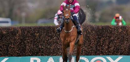 Grand Nationals: Rennpferd Gold Dancer holt Sieg – und muss eingeschläfert werden