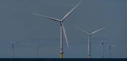 USA: Donald Trump will Windkraft und Solarenergie abwürgen – doch es passiert das Gegenteil