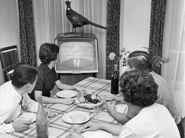 Öffentlich-rechtlicher rundfunk: schade, ard und zdf, um eure kultur