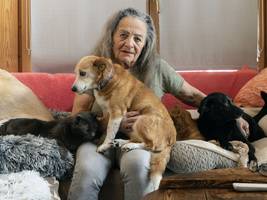 Schweiz: Sie wollten Straßenhunden helfen und landeten im Gefängnis