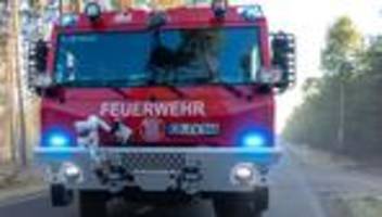 Brandenburg: Zweithöchste Waldbrandstufe in zahlreichen Landkreisen