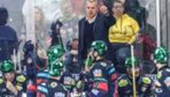 Deutsche Eishockey Liga: Eisbären-Coach Aubin: Wir haben aufgehört zu spielen