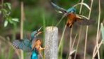 Fotografie: Bilder des Tages