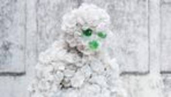 Müll: Her mit dem Müll