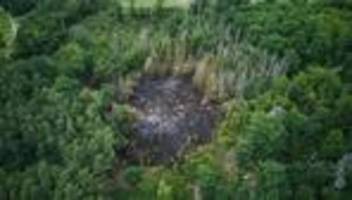 waldbrände: frühling bringt waldbrandgefahr nach rheinland-pfalz