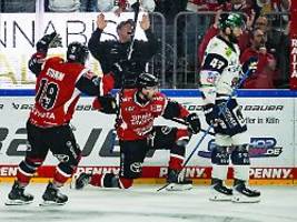 Berliner Keeper völlig entnervt: Kölner Haie beißen gegen Eisbären furios zurück