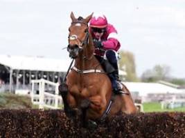 die regierung muss handeln: rennpferd nach triumph beim grand national eingeschläfert