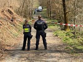 Nach Fund von Händen und Körper: Müllsammler entdecken menschlichen Kopf im Wald