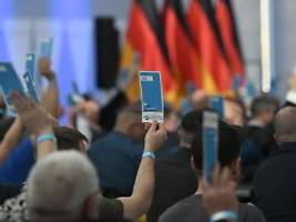partei will allein regieren: afd in sachsen-anhalt strebt 45 prozent plus x an