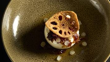 burrata mit schalotten-chili-Öl und lotuswurzel aus dem „crackers“