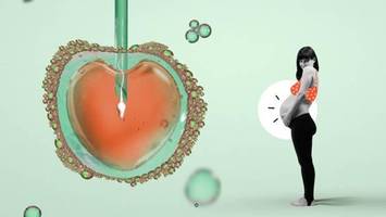 louisa ließ ihre eizellen einfrieren: „das geld ist es mir absolut wert“