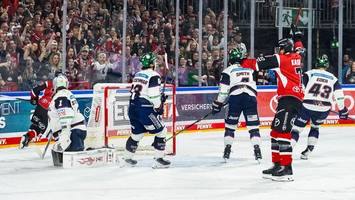 die eisbären brauchen schon wieder den weckdienst