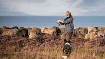 einen tag alt, schon reif für die insel – tierische Überraschung im sylt shuttle