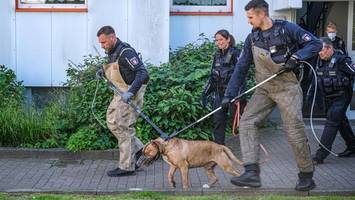 Zweijährige in Hamburg fast totgebissen: Jetzt beginnt der Prozess gegen Halter
