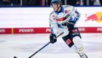 deutsche eishockey liga: erc ingolstadt verlängert mit wichtigem sturm-duo