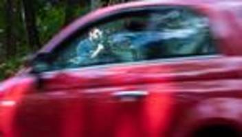 Speedweek: Experten: Blitzermarathon wirkt nur kurzfristig