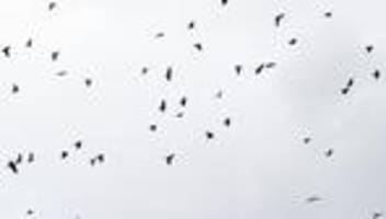 Wetter: Wochenstart in Hessen bewölkt und zeitweise nass