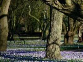 Blutiger Streit in der Nacht: 28-Jähriger in Stadtpark in NRW erstochen