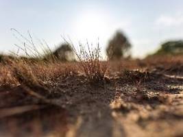 expertin zur drohenden krise: trocknet deutschland trotz regen allmählich aus?