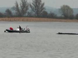 Von Fähre in Ostsee gesprungen: Frau schwimmt wenige Meter an Buckelwal heran