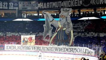 Eisbären: Der König der DEL hat den Hai am Haken