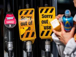 Neues Buch von Claudia Kemfert: Die Chancen der fossilen Megakrise