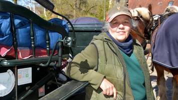 Kutsche fahren durch die Heide: Ist das ein lukratives Geschäft?