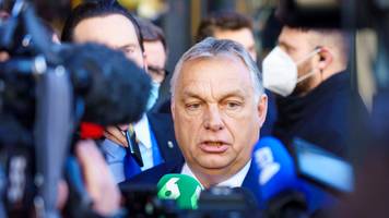 geflüchteter ganove macht orbán kurz vor der wahl schwere vorwürfe