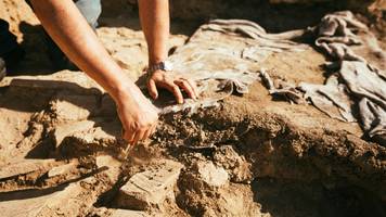 DNA enthüllt grausame Opfertradition: Ganze Familien starben für Herrscher