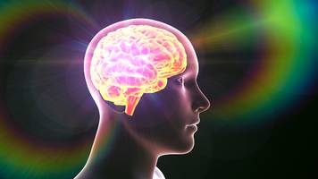 Neurologe verrät: Diese drei Jugendsünden bereue ich – sie schaden dem Gehirn