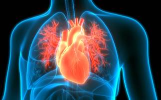 Welche Lebensmittel das Risiko für Herzprobleme und Diabetes senken