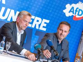 Mecklenburg-Vorpommern: Genderverbot und Flaggenpflicht – so will die AfD im Nordosten regieren