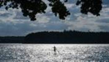 Bedrohte Fische: Stechlin- und Luzin-Maräne jetzt vom Aussterben bedroht