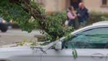 Bilanz: Weniger Unwetterschäden an Fahrzeugen in Sachsen-Anhalt