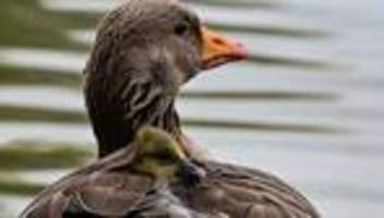 Fotografie: Bilder des Tages