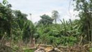 Heftiger Tropensturm: Zyklon Maila im Südpazifik: Elf Tote in Papua-Neuguinea