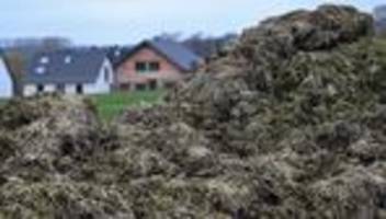 missglückte flucht: flucht vor polizei endet für e-scooter-fahrer im misthaufen