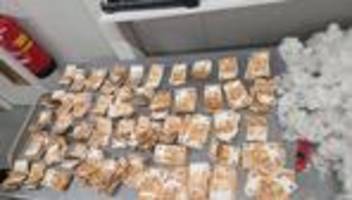 Niederlande: Polizei findet 50.000 Euro in Teddybär