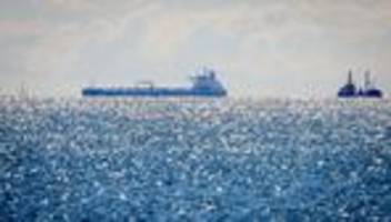 Sanktionen: Grüner: Putins Schattenflotte schärfer ins Visier nehmen