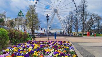 irre idee für den berliner norden: ein riesenrad mit seeblick