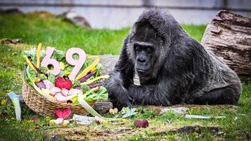 „Täglich zwei Tassen Tee“: So schafft es Fatou ins Guinness-Buch der Rekorde