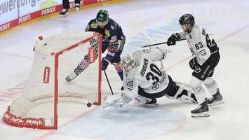 bis es schmerzt: eisbären-profi noebels arbeitet hart an seinem vermächtnis