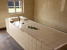 Debatte: Es muss wehtun